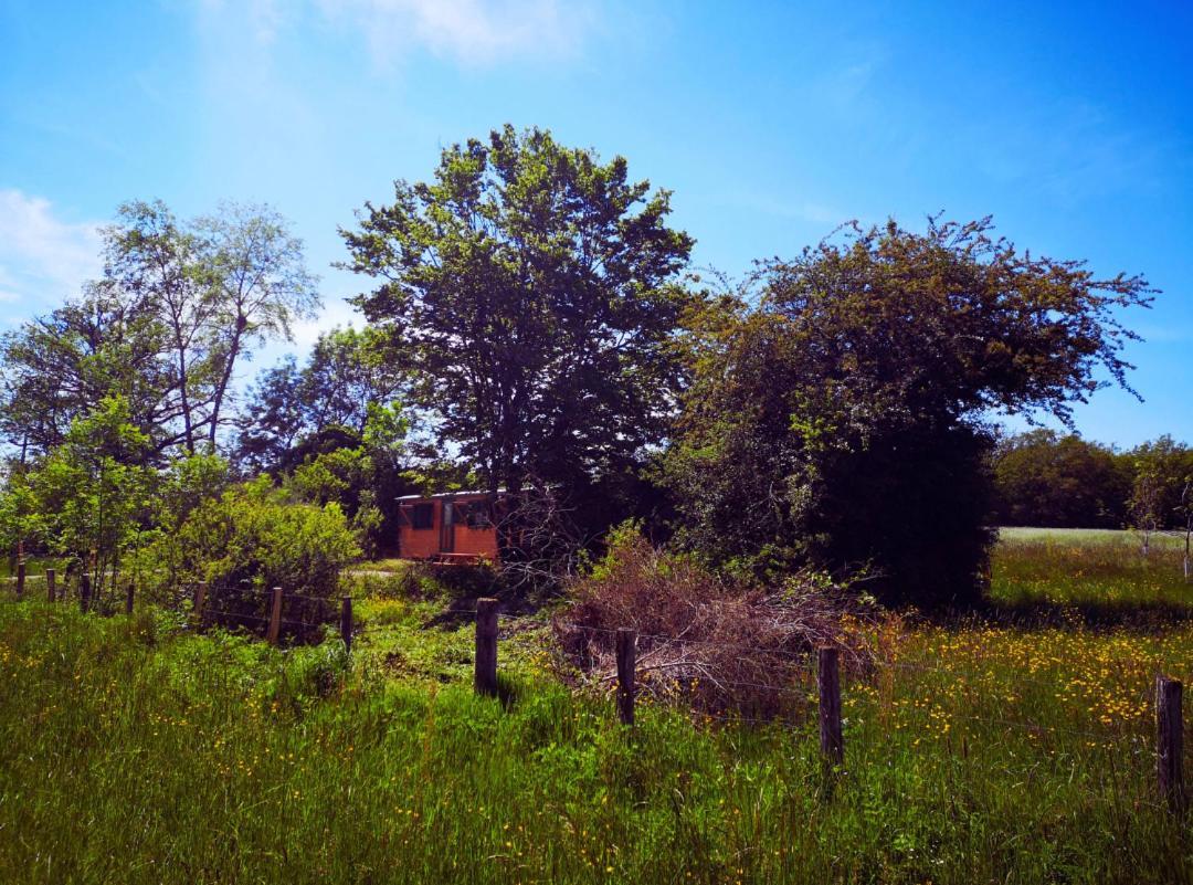 Roulotte & Foret - Evasion Boheme En Bourgogne Antully Exterior foto