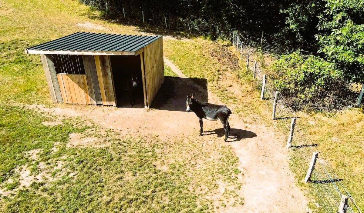 Roulotte & Foret - Evasion Boheme En Bourgogne Antully Exterior foto